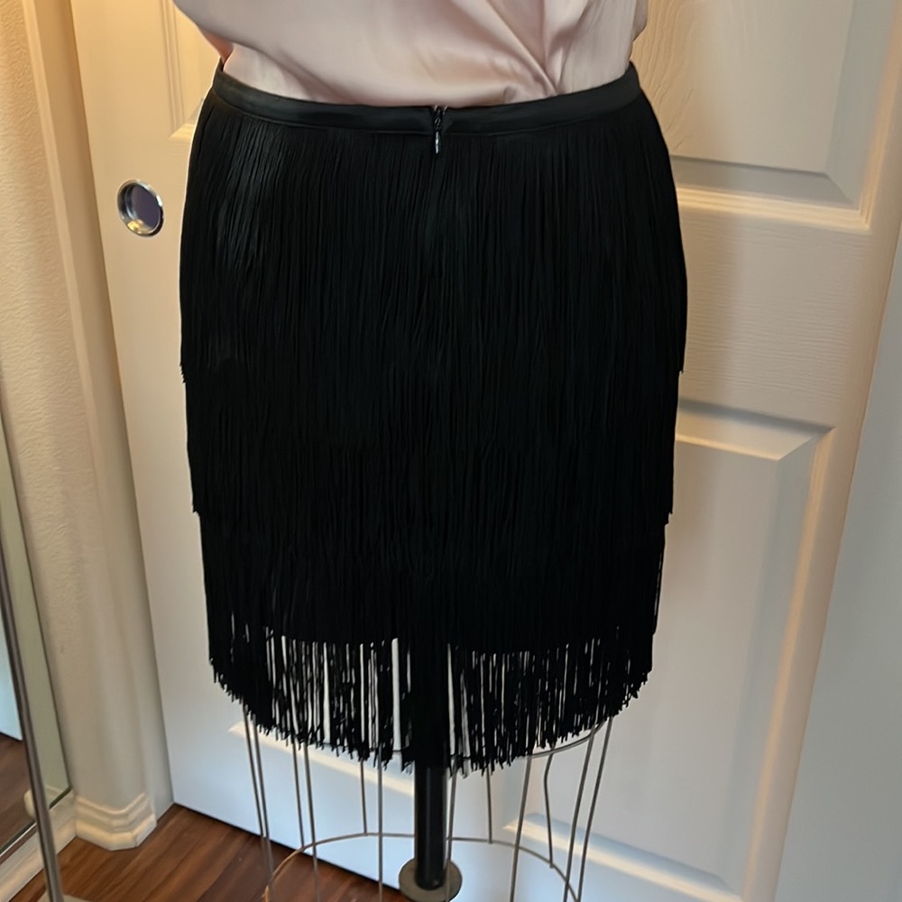 Zara fringe mini skirt - Picture 3 of 3
